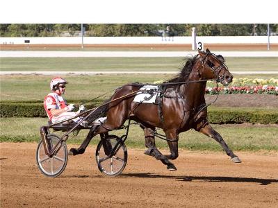 Somebeachsomewhere Scores In Tattersalls Somebeachsomewhere Scores In Tattersalls