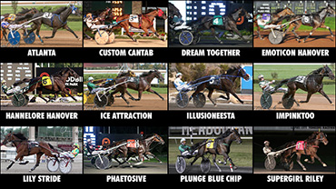 Which Trotting Mares Will Dominate?
