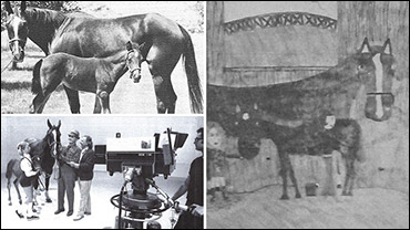 SC Rewind: The 1971 Art Derby