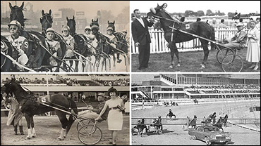 SC Rewind: All About Greenwood