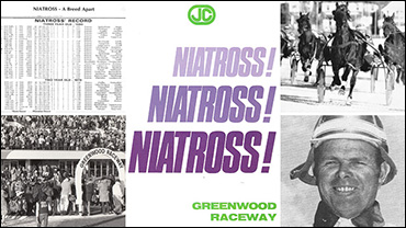 Rewind: Memories Of Niatross (Pt. 1)