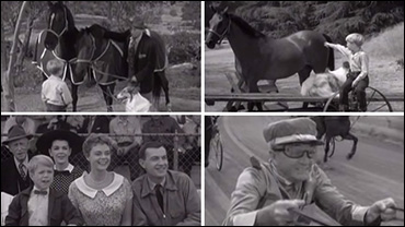 SC Rewind: The Golden Rule