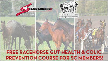 SC Partners With Equine Guelph For Free Gut Health Course
