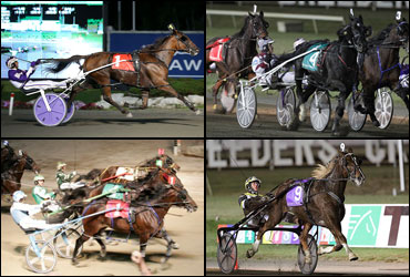 What Was The Race Of The Year?
