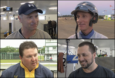 Harness Racing's Smartest Horses