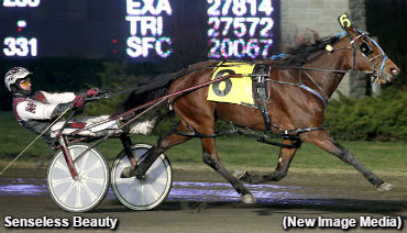 McNair Mastery In Blizzard Series