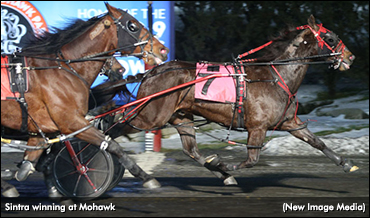 Sintra Maintains Momentum At Mohawk