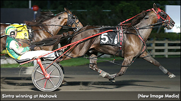 Sintra Swoops In Mohawk Preferred