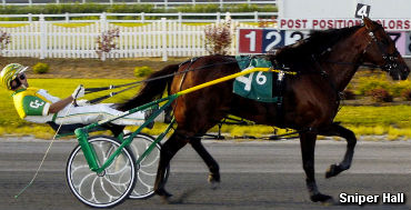 Harrington Open To Sniper Hall