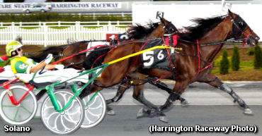 Solano Shines In Harrington Open Pace