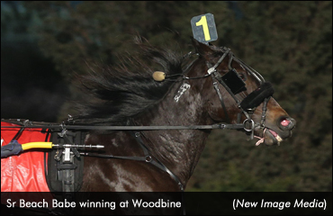 Preferreds Featured At Flamboro