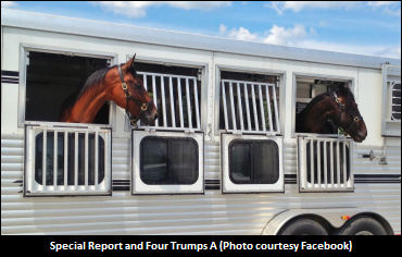 Facebook Aiding In S-Breds' Retirements