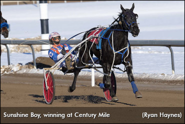 Six Straight For Sunshine Boy