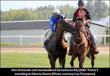 18YO S-Bred Springs Into Outrider Action