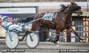 Make It 22 For Safe From Terror