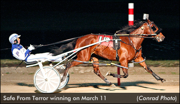 Safe From Terror Defeats Distaffers Again