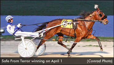 Safe From Terror Dominates Ohio Mares