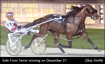 Safe From Terror Takes Mares Open Safe From Terror Takes Mares Open