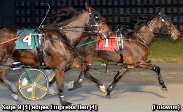 Sage N Topples Dover Distaffers