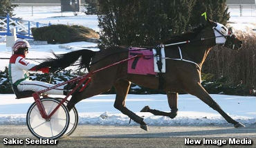 Sakic Seelster & Tacs Delight Are Canada's Fastest 