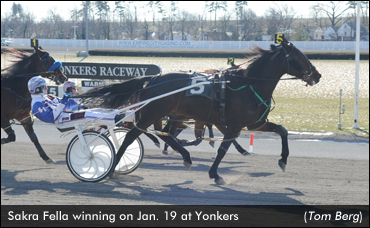 Trainer, 90, Wins With Horse, 14