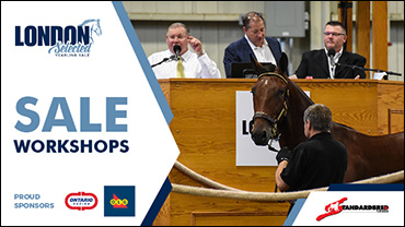 Sale Pedigree & Conformation Workshops