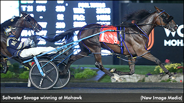 Saltwater Savage Scores In Grassroots Saltwater Savage Scores In Grassroots