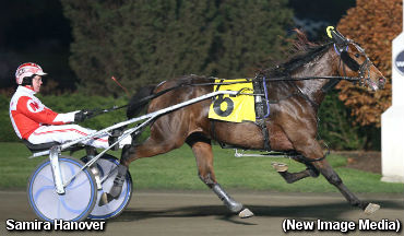 Autumn Repeat For Samira Hanover  