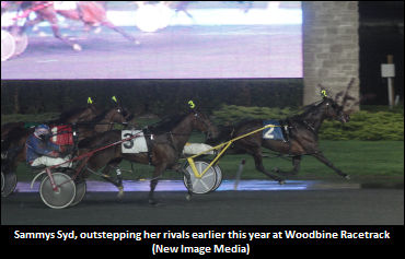 ‘Spoiled’ Mare To Upend The Stars?