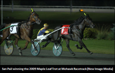 Maple Leaf Trot Requires Single Elim