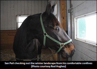 "You Couldn't Give Him A Whole Week Off"