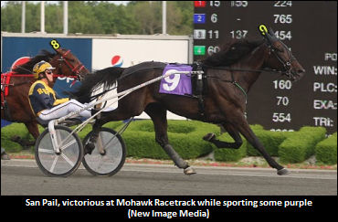 Wear Purple And Support San Pail