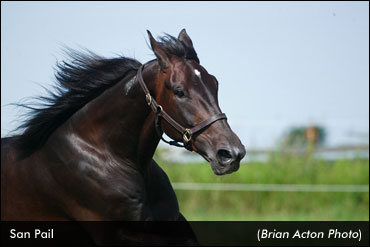 San Pail Wins 2014 Qualifying Debut