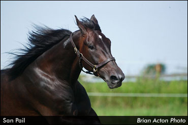 Divisional 2011 Dan Patch Winners