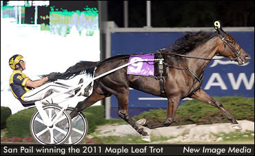 San Pail Scores Historical Maple Leaf Trot Win