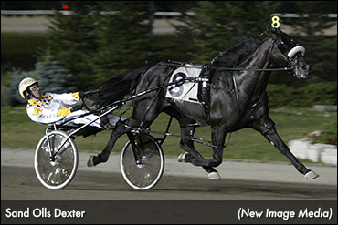 Sand Olls Dexter Passes