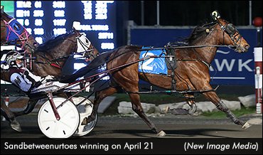 Sandbetweenurtoes Wins Again