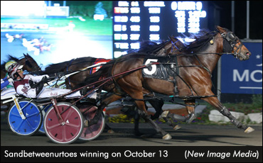 Sandbetweenurtoes Repeats At Mohawk