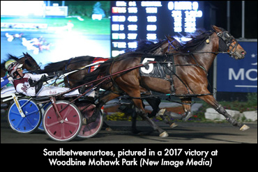 Sandbetweenurtoes Retired