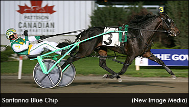 New Home For Santanna Blue Chip