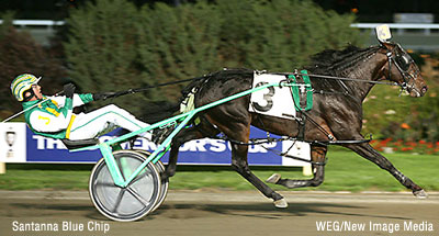 Santanna Blue Chip's A Dad