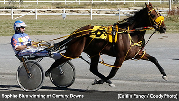 Saphire Blue Unbeaten In Five