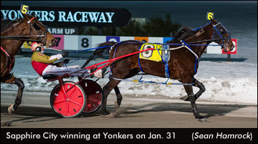 Sapphire City: From Fair To Millionaire