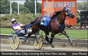 Big Plans For Big Filly