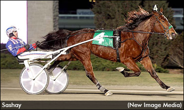 Lid Lifts On Lifetime Dream Series