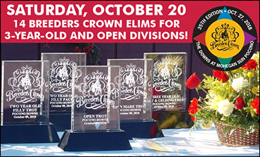 Breeders Crown Elims Complete