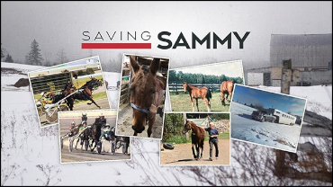 Saving Sammy