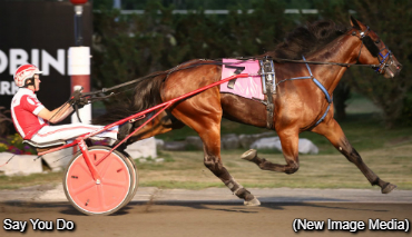 Sophomore Trotters Spar In Grassroots