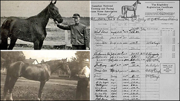 Rewind: Lady Helen & The Neely Family