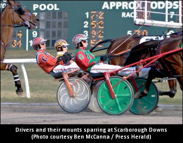 Scarborough Downs, Land Up For Sale